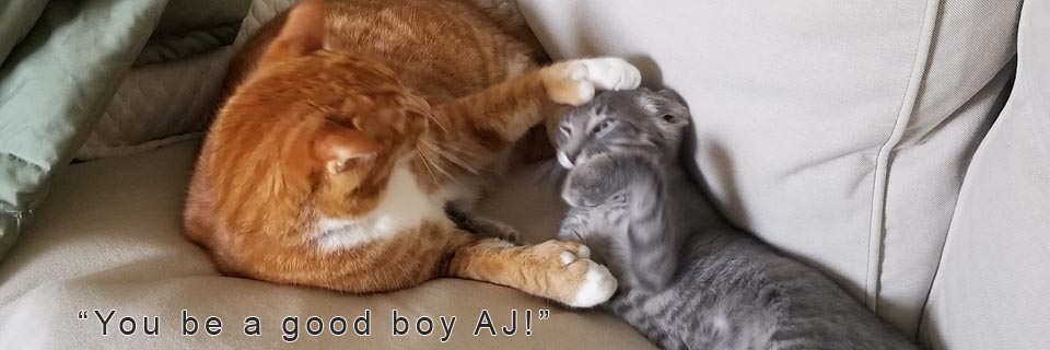 AJ you be a good boy now!